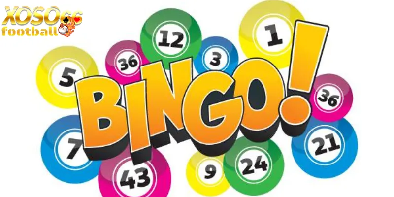 Cách chơi Bingo Xoso66 hướng dẫn từng bước 2 Cách chơi bingo chi tiết từ Xoso66 hướng dẫn từng bước